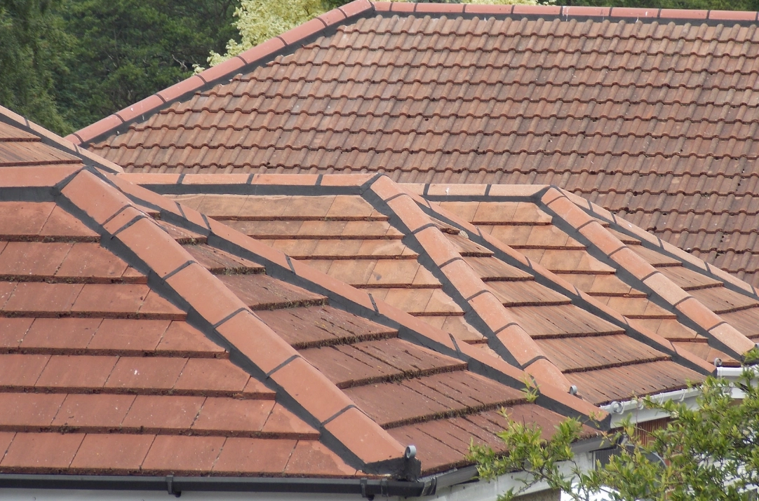 Ridge Pointing, Roof Repairs