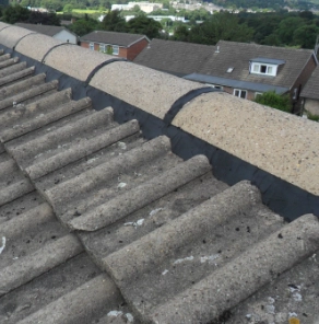 Ridge Pointing, Roof Repairs